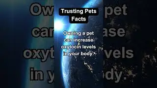 Trusting Pets Facts #shortvideo #shorts