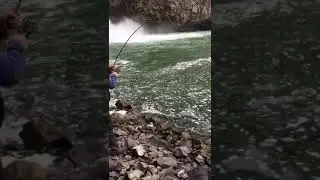 Peska shinok salto nilahue