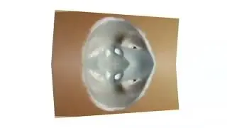 clitch entry