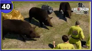 30-50 FERAL HOGS - Like A Dragon: Infinite Wealth (40)
