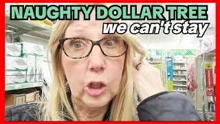 an attempt to DOLLAR TREE Shop | Should we stay or go?!