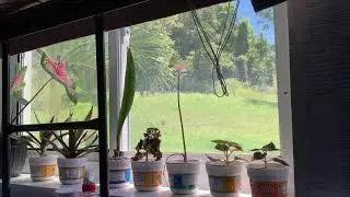 Recycling Cup Noodles container