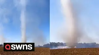 Tornado-like vortex rises from the ashes of field fire in Kentucky 🌪️ | SWNS