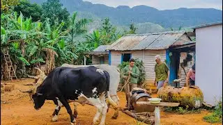 Pueblo cubano 🇨🇺 || Visitando Viñales 2023