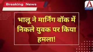 Kanker Breaking: भालू ने मार्निंग वॉक में निकले युवक पर किया हमला | Bear Attack Case