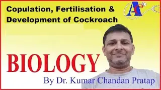Copulation,  Fertilisation & Development of Cockroach 