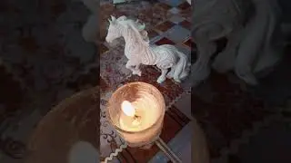 Двое из ларца адинакавы с лица....