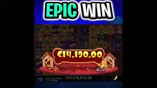 THE NEW DOG HOUSE MULTIHOLD SLOT 🐶 MEGA BIG WIN BONUS‼️ #shorts