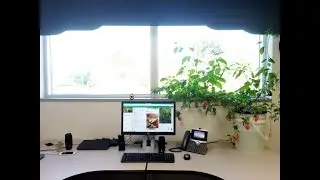 B.A. Kratky - Year Round Pepper Production