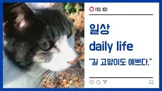 2020. 10. 10 일상(daily life, повседневная жизнь)