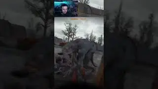 Сталкер. Ангар #сталкер #игры #shorts #stalker #прохождение #пк #games #Twitch