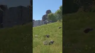 we planted 10,000 landmines in rust