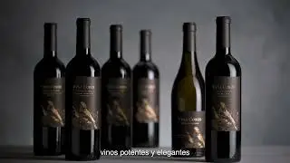 Vi&ntilde;a Cobos Vineyard Designate