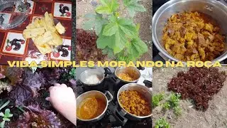 MINHA ROTINA MORANDO NA RO&Ccedil;A ❤️ CUIDEI DA HORTA - FIZ FATADA - PREPAREI O ALMO&Ccedil;O +FIZ BOLO DE PUBA