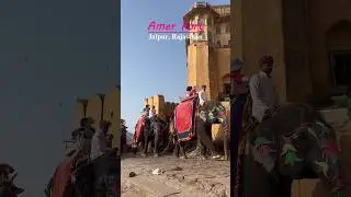 Amer Fort Jaipur, Rajasthan🌺🦚✨