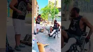 Todo va sobre ruedas!