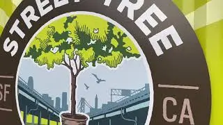 SOMA Bureau of Urban Forestry Project - November 9, 2023