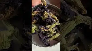 Blue Tea Butterfly Pea Flower Tea