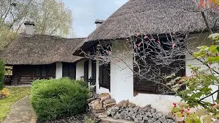 Unity form and function
