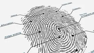 India&rsquo;s controversial biometric data law and the privacy issues it raises