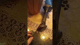 Reparo do retrovisor de srad ap&oacute;s queda do temporal! 🤑 1.50 &eacute; o custo 💰💸