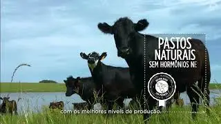 Las Piedras - премиальное уругвайское мясо говядины из страны стейков для ресторанного меню