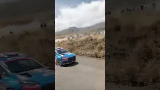 # Nicol&aacute;s Fuchs ganador de CDI 2023