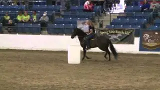 Barrel Racing at the 2013 PFHA Grand National Championship