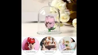 H&D Crystal Enchanted Rose Flower Figurine Dreams Ornament in a Glass Dome Gifts for her (Pink)
