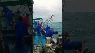 Отъезд из Окамы, облачная погода