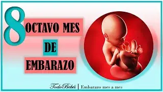 ❤️ OCTAVO MES DE EMBARAZO🤰 ⏩ SEMANA 31 a 35 ⏩ TERCER TRIMESTRE ⏩ Desarrollo y Evolución del Bebe