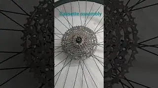 cycle cassette assembly 11:50 teeth