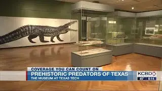 Museum at Texas Tech presents Prehistoric Predators of Texas