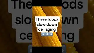 Foods that slow down aging from the inside out✨#wellness #nutrition #antiagingdiet #glowingskin #usa