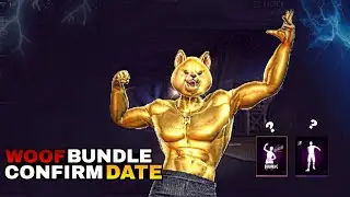 24K Woof Bundle 100% Confirm DateBundle | 24K Woof Bundle | Navee ff