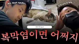 푸카 Ep.2) 자세히 보니 애기 배가 빵빵하더라고요ㅣ레즈커플 브이로그 vlog