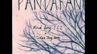 Pandafan- 