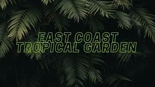 Creating a tropical garden on the East Coast of the UK. May 2023