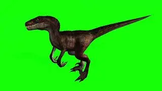 Dinosaur And cool one.s 😎😎😎