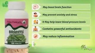 Prima Medicare Natural Brahmi Extract Tablets For Rejuvenate for the Brain & Nervous System - 120