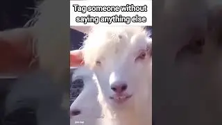 #meme #funny #viral #instagram #ott #shorts #ytshortsindia #india #2025 #august #september