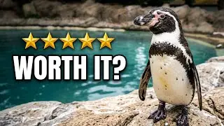Twycross Zoo Review (2024) | Gruffalo Land, Value for Money & Free Return Visits