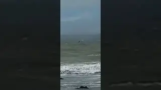Cyclone Tam SU Hydrofoiler NZ