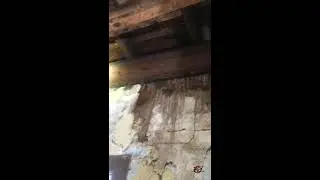 Bat Removal Job at a Commercial Building in Madison, Georgia