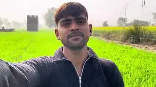 ￼gehun ke khet mein spry kari fir gaye hum jym ko fir jym   Ma tha hamara tricep day
