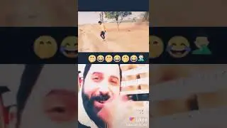 msh tamsil