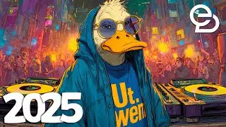 EDM Music Mix 2025 ✨ Mega Club Vibes 🚀 Electrifying Rave Journey All Night