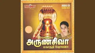 Kodi Kodiyhai