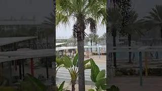 Universal's Cabana Bay Beach Resort #resort #shorts