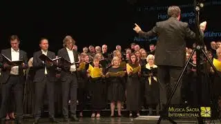 Festivalchor, Singer Pur, Suomen Kanttorikuoro, Sengupta Ensemble: Gitanjali, MSI 2018
